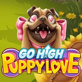 Go High Puppy Love casino game by RubyPlay – featured logo at Lizaro Casino
